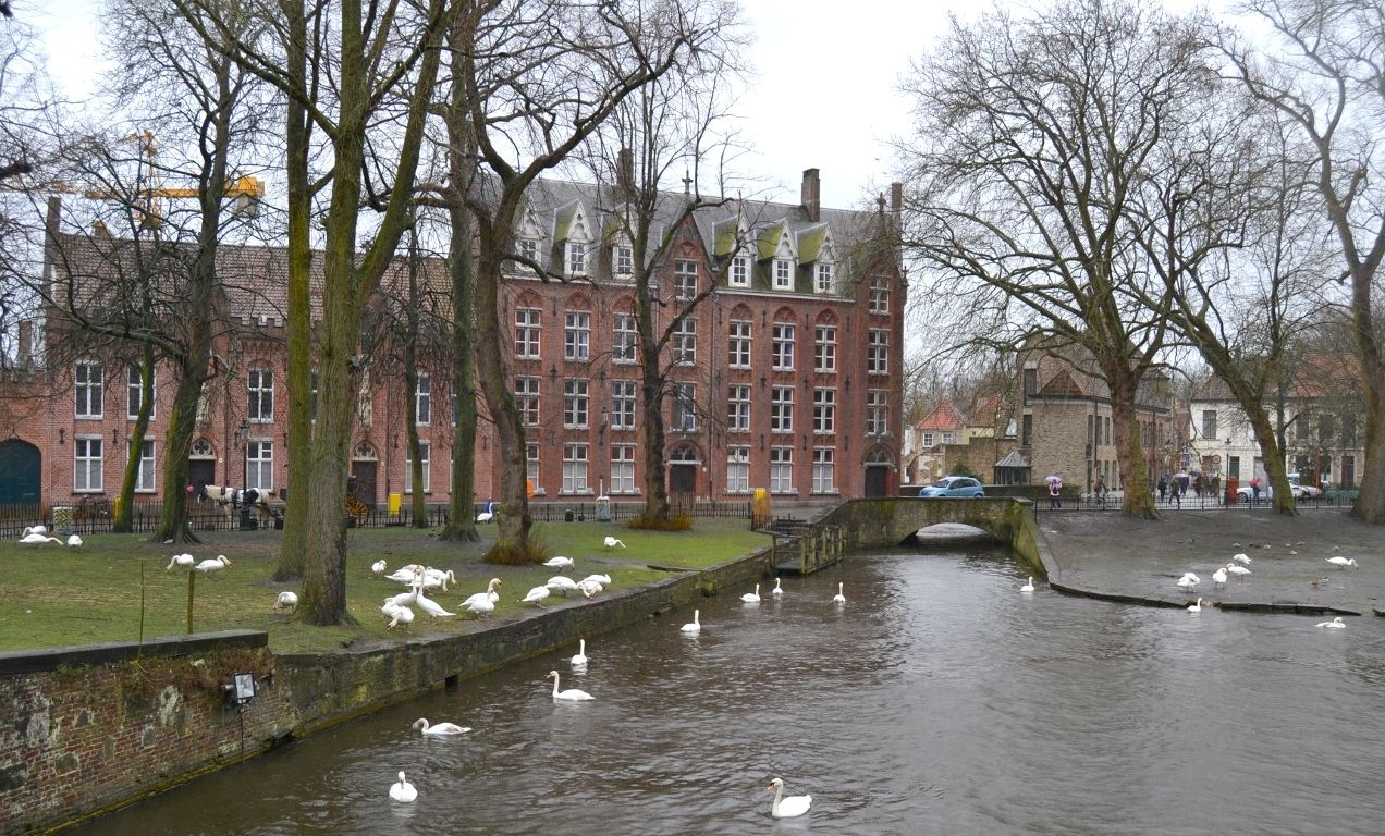 Los cisnes del Minnewater Qué ver en Brujas en un día