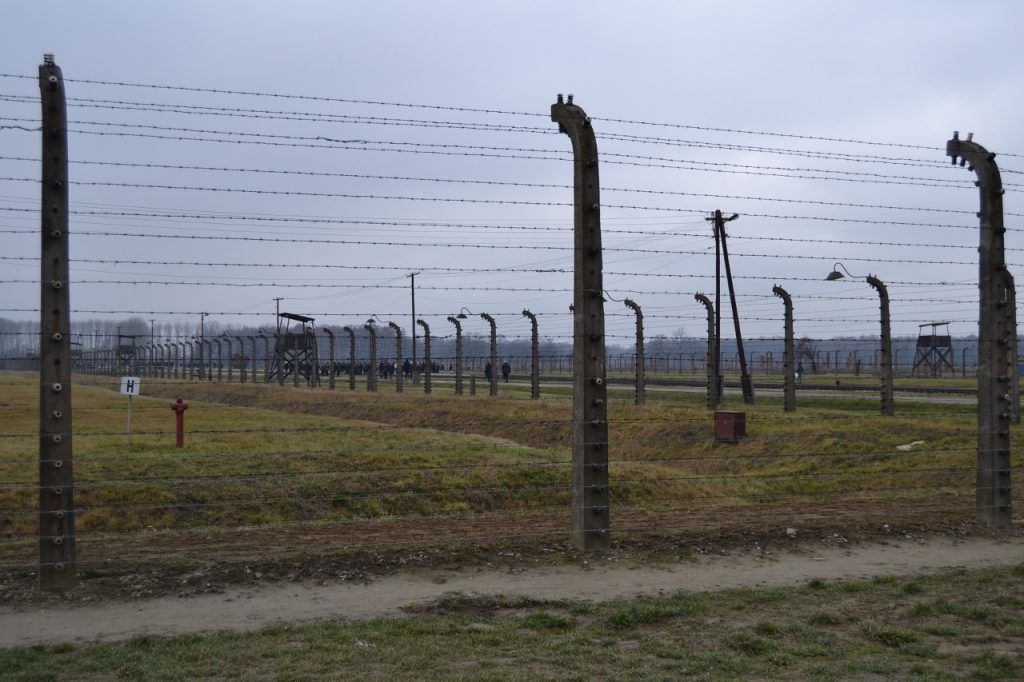 Auschwitz: Nunca más