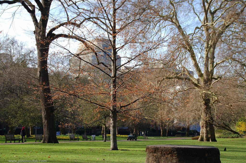 Hyde Park Vista panorámica de Hyde Park en Londres, con árboles frondosos y zonas verdes que muestran su gran extensión y belleza natural.