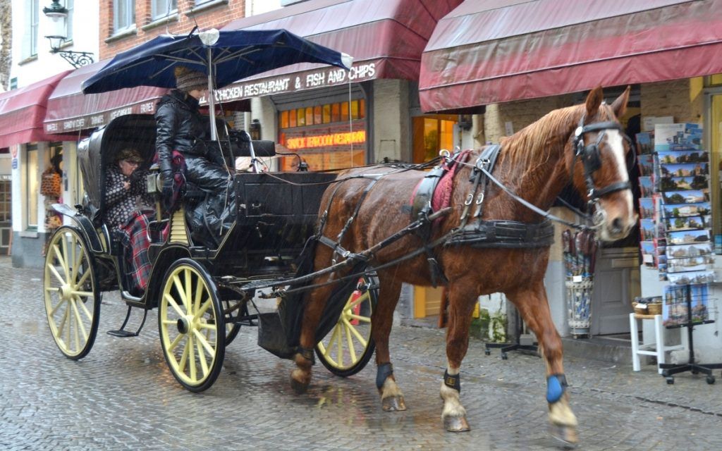 De Minnewater parten los tour en coche de caballo por la ciudad Qué ver en Brujas en un día
