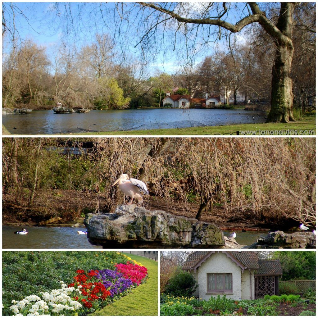 St. Jame's Park Collage de St. James’s Park en Londres con imágenes del lago habitado por aves, parterres florales coloridos y una pequeña casa junto al lago.
